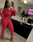 Autumn New Sexy Drawstring Waist Long Sleeve Crop Top High Waist Tight Pants Set for Women Black Green Purple Red S-L