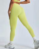 Seamless Yoga High Waist Running Quickly Drying Fintess Tight Sports Pants S-XL