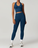 Women Active Wear Seamless V Halter Neck Yoga Two-piece Pants Sets S-XL