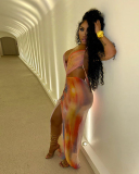 Women Sexy Hot Girl Hanging Neck Strap Printed Mesh Splicing Backless Dress  S-L