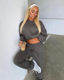 Autumn Crew Neck Solid Color Long Sleeve Casual Pullover Top Trouser Two Piece Outfit S-XL