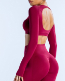 Women Long Sleeve Backless Sport Crop Top XS-XL