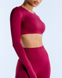 Women Long Sleeve Backless Sport Crop Top XS-XL