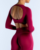 Women Long Sleeve Backless Sport Crop Top XS-XL