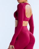 Women Long Sleeve Backless Sport Crop Top XS-XL
