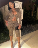 Long Sleeve Leopard Printed Two Piece Short Set S-L