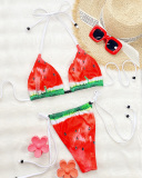 Printed Watermelon Cute Girl Bikini Set S-L