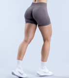 Wholesale Popular Hips Lift Seamless Sports Yoga Shorts XS-XL