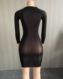 Long Sleeve Women Transparent Dress One size