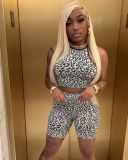 Two Piece Leopard Printed Summer Set S-L