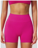 OEM Logo Women's High-Waisted Stretchy Butt-Lifting Yoga Shorts S-XL