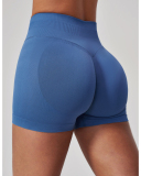 OEM Logo Women's High-Waisted Stretchy Butt-Lifting Yoga Shorts S-XL
