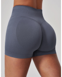 OEM Logo Women's High-Waisted Stretchy Butt-Lifting Yoga Shorts S-XL
