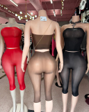 Whoesale Elastic Sexy See Through Two Piece Short Set one size