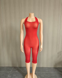 Wholesale Summer See Through Hot Jumpsuit One size