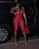 Whoesale Elastic Sexy See Through Two Piece Short Set one size