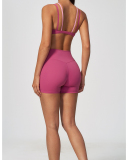 OEM Logo Printed New Style Wholesale Yoga Bra Short Two Piece Set S-XL