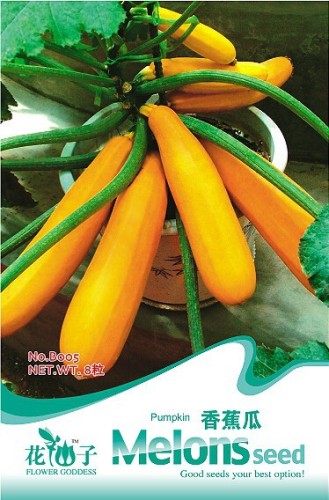 Yellow Zucchini Summer Squash Cucurbita Pepo Vegetable Seeds