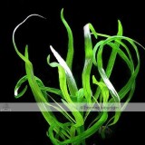 Approx 100 Seeds / Variety, 1 Professional Pack / Variety, 25 Types Aquarium Grass Seeds Water Aquatic Fish Tank Use