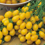 Cherry Tomato 'Yellow Grape' Fruit Seeds