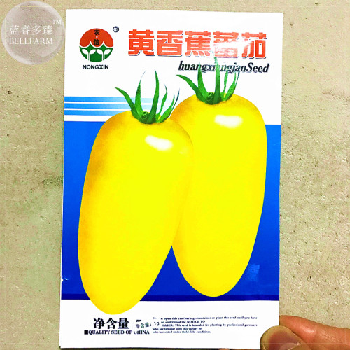 Rare Yellow 'Banana' Long Tomato Organic Seeds