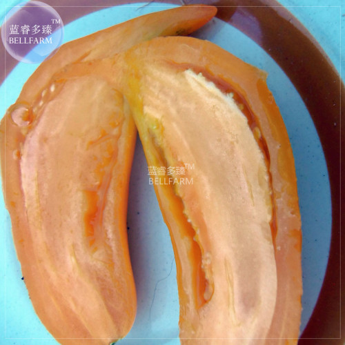 Tomato Buratinorjs Light Orange Uniquely Shaped Fruit Seeds