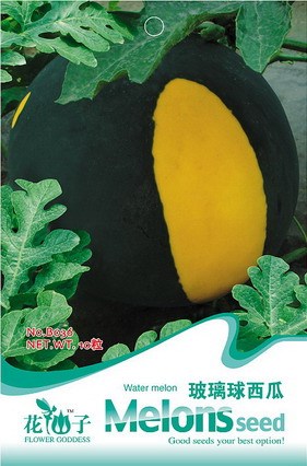 Big Black Yellow Skin Red Inside Watermelon Seeds