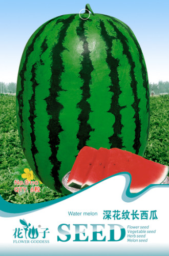 Deep Green Streak Ellipse Red Big Watermelon Seeds