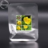 Paeonia Ludlowii Rare Heirloom Yellow Red Pink White / F1 Peony Shrub Flower Seeds Al Pack, 5 Seeds