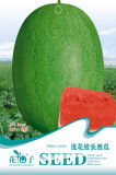 Light Green Streak Ellipse Big Red Watermelon Seeds