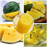 Bright Yellow Watermelon Seeds