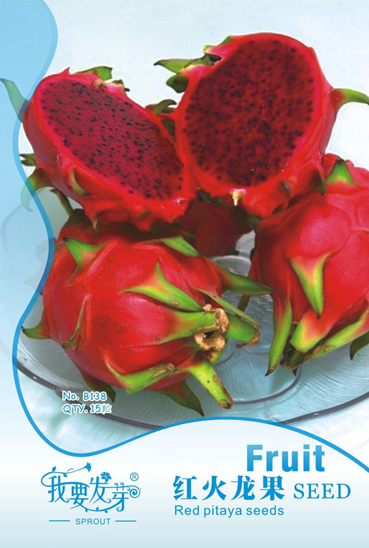 Hylocereus Undatus Red Dragon Fruit Seeds