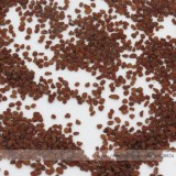 New Light Pink Plicated Cyclamen with Red Edge Flower Seeds