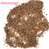 BELLFARM Fresh Feral Organic Black Goji Berry Herbs Seeds