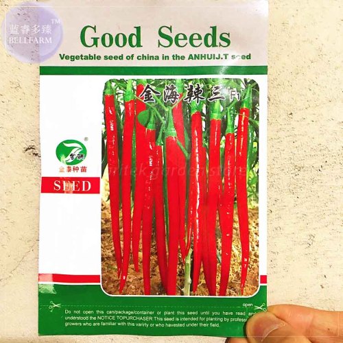 Jintai Red Line Pepper (green line, jinjiao 1.0 F1, pig intestines pepper), 1000 Seeds, heirloom super fine seeds E4201