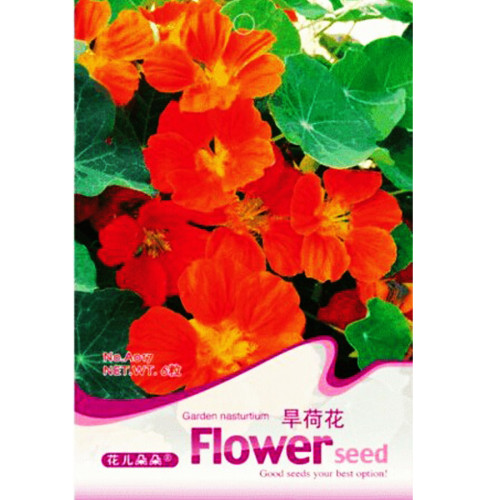 Red Garden Nasturtium Shamrock Plant Tropaeolum Majus