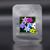 Zephyranthes carinata White Red Yellow Pink Rain Lily Perennial Garden Flower Seeds