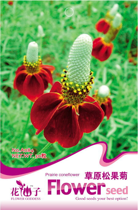 1 Original Pack, 30 Seeds / Pack, Ratibida Coneflower Mexican Hat Columnifera Midget Seed #A084