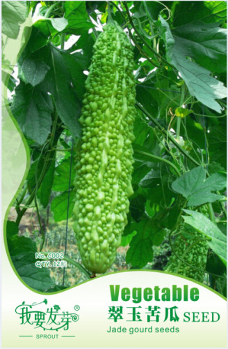 Original Pack, 12 Seeds / Pack, Green Bitter Gourd Seed Bitter Melon Balsam Pear Organic Vegetables #NF483