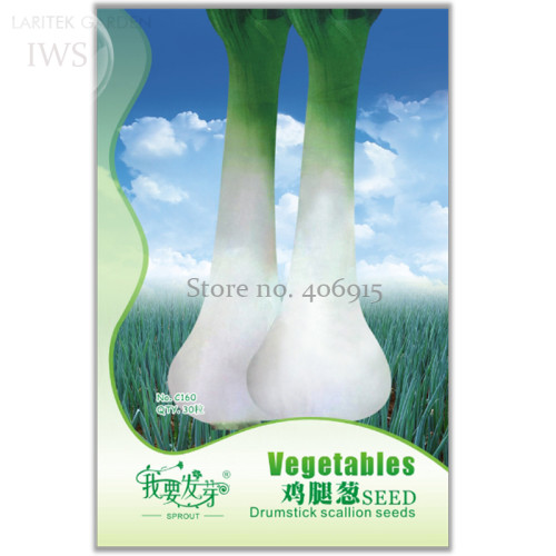 Heirloom Green Drumstick Scallion Seeds, Original Pack, 30 seeds, organic green vegetable IWSC160
