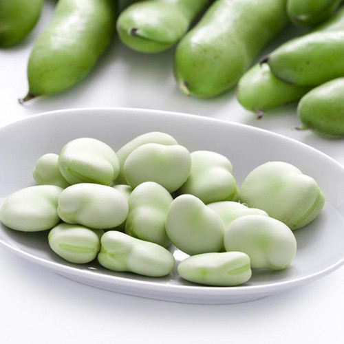Green White Giant Broad Bean Seeds, 100 Seeds Vicia faba Vegetables Organic