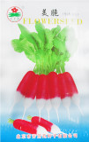1 Original Pack, 2g Seeds / Pack, Red Crisp Radish Early Maturity Turnip Fast Growing Chinese Heirloom Organic Vegetable #NF374