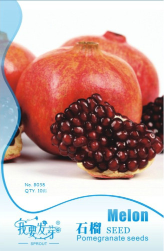 10 Original Packs, 10 seeds / pack, POMEGRANATE FRUIT TREE Red Punica Granatum