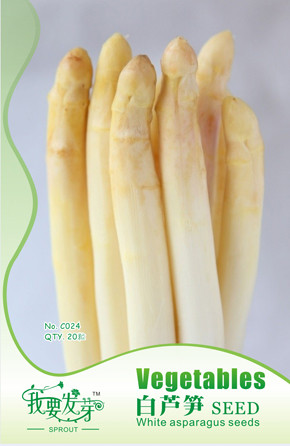 10 Original Packs, 20 seeds / pack, White Asparagus Seeds, Spring Vegetables Sparrowgrass #A00269