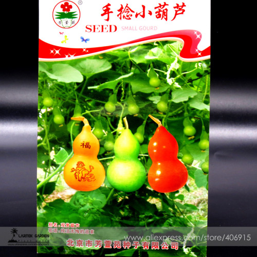 Heirloom Hand Twist Small Ornamental Gourd Seeds, Original Pack, 2 Seeds / Pack, Very Interesting E3421