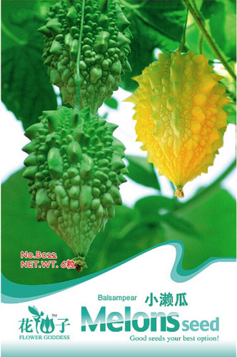 Bitter Melon Balsam Pear Fruit Seeds, Original Pack, 6 Seeds / Pack, Bitter Gourd  Vegetables B022