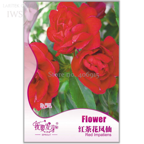 BELLFARM Fire Red Impatiens Bonsai FLowers, 25pcs/pack, improve the environment light up your garden IWSD203