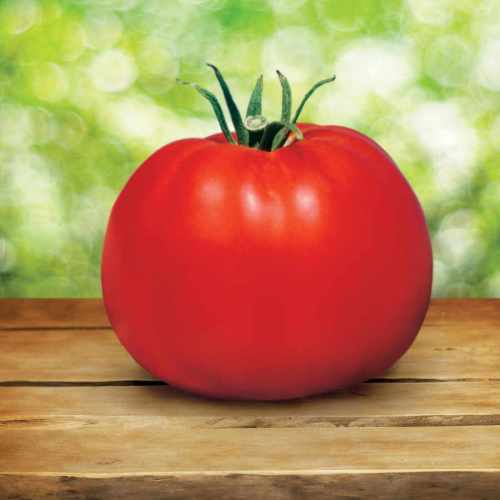 Park's Whopper CR Improved Hybrid Tomato Seeds 100pcs