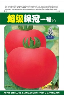 BELLFARM (for greenhouse) High Yield Tomato Big Pink Red Hybrid Seeds, 10 grams or 5 grams /original pack great for garden