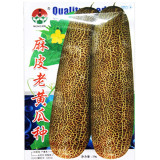 Heirloom Old Cucumber Vegetable Organic Seeds 5grams